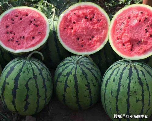 吃瓜网官方网站在线看