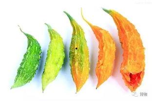 娱乐吃瓜苦,揭秘娱乐圈背后的酸甜苦辣